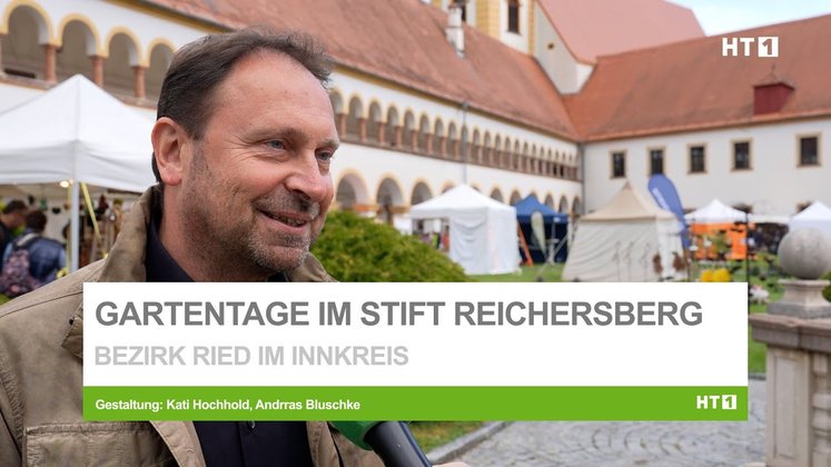 article-image